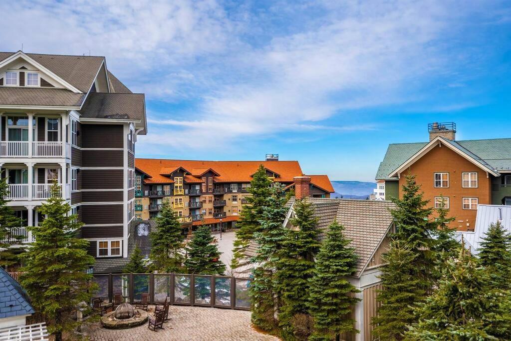 Apartment Allegheny339 Hot/tub/pool,ski In/out,village