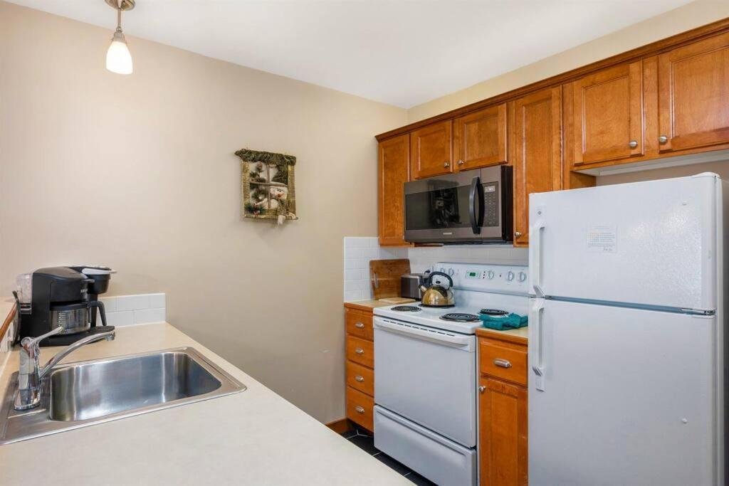 Allegheny339 Hot/tub/pool,ski In/out,village Apartment