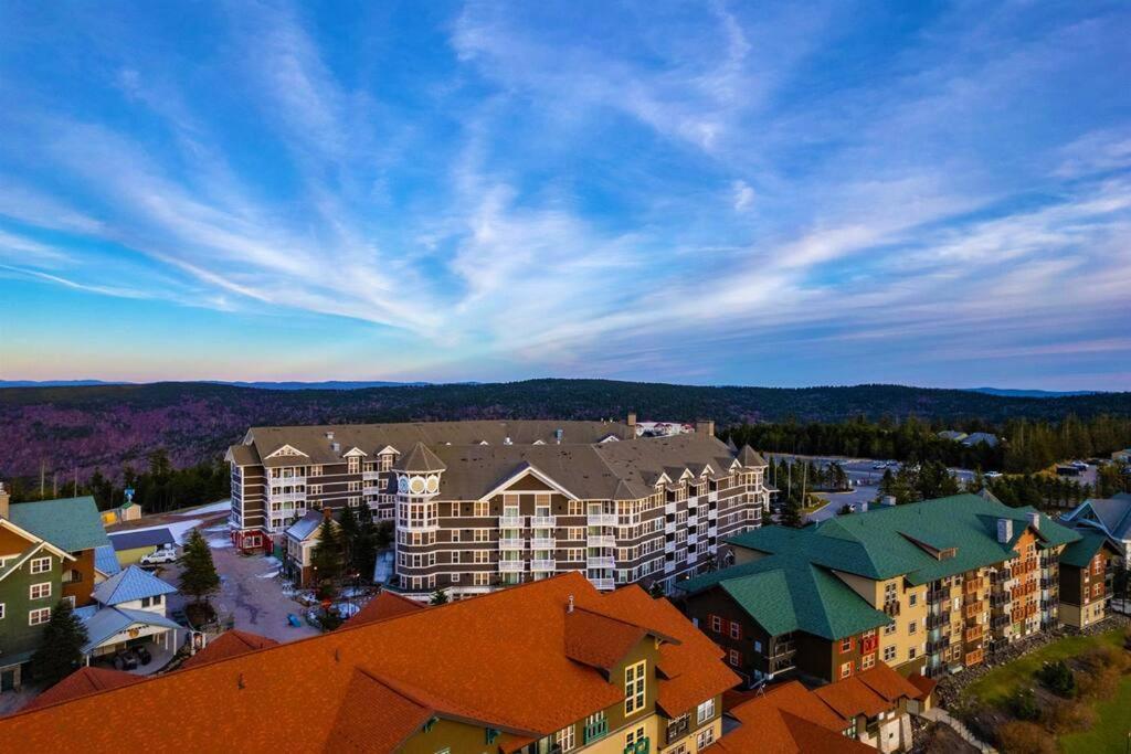 Allegheny339 Hot/tub/pool,ski In/out,village Apartment *